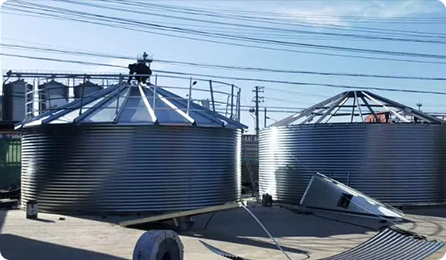 Silo Roof