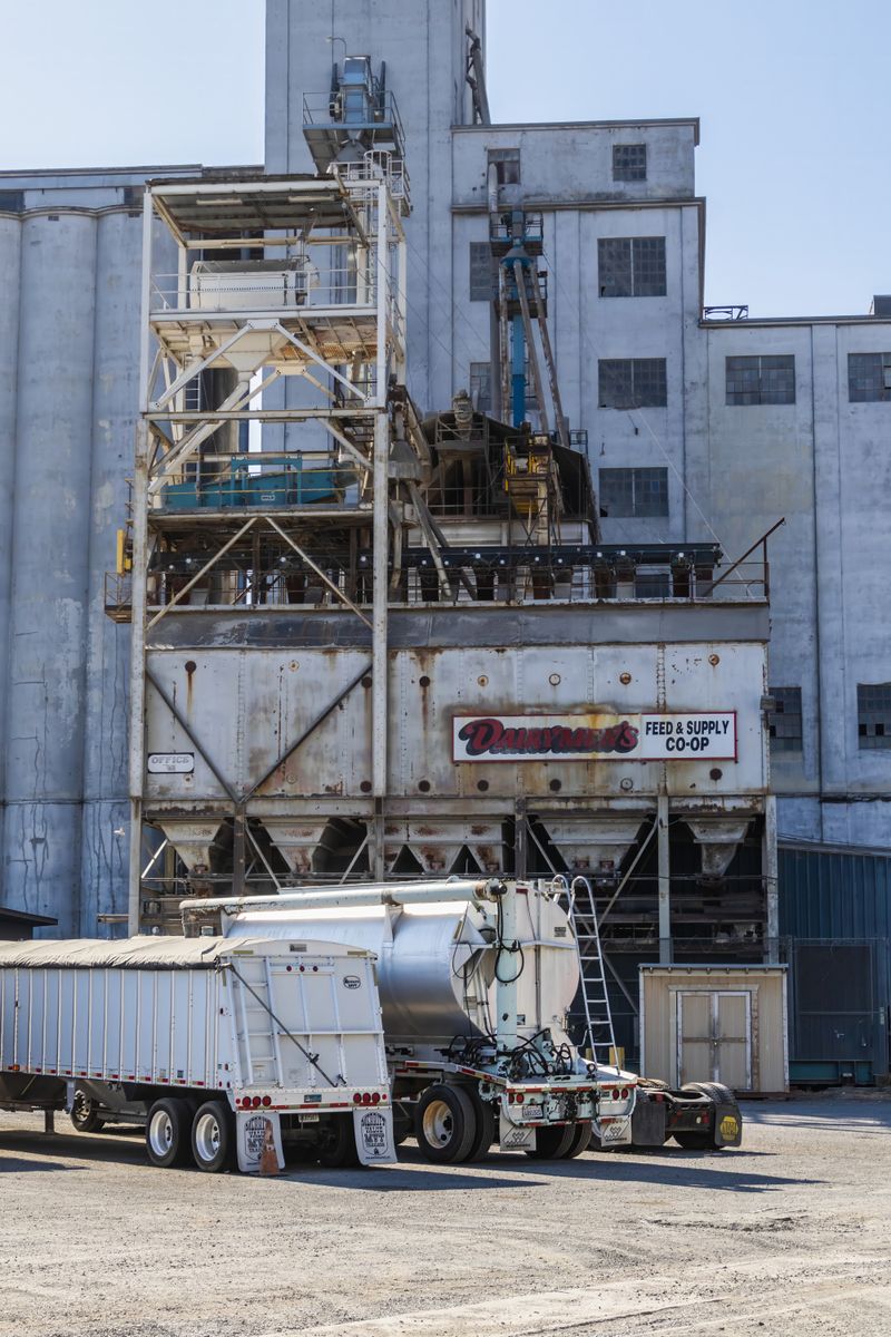 Reverse Pulse Jet Dust Collector for Silo Venting