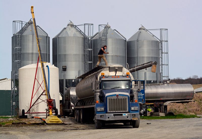 Enclosed Dome Stockyard System for Large-Scale Bulk Material Storage