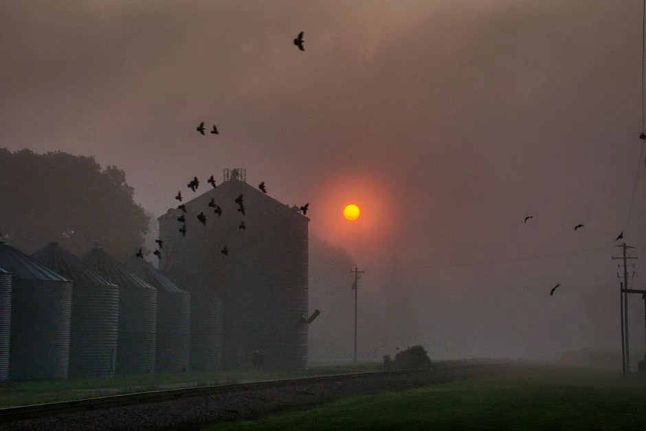 The Impact of Climate Change on Grain Storage Infrastructure Planning - Illustration 2