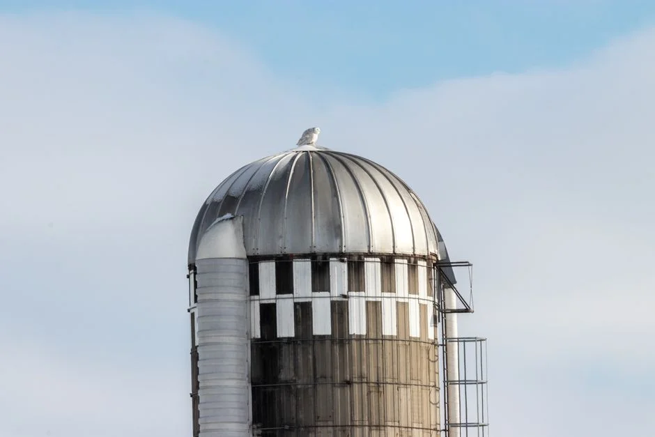 Steel Silo Anchor Rod Tension Monitoring System for Long-Term Foundation Integrity - 2