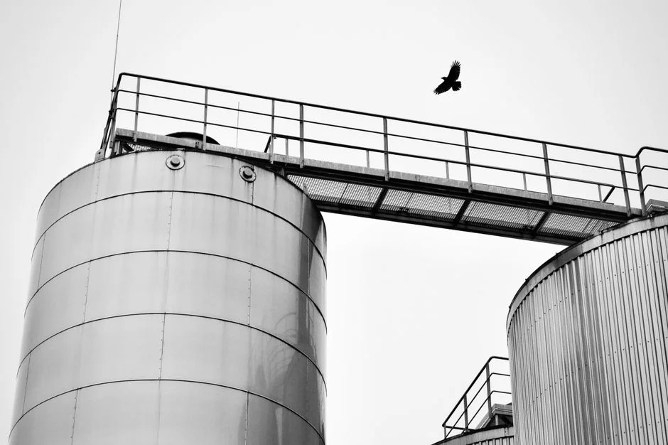 Grain Silo Post-Investment Review: Actual vs Projected Storage Revenue and Costs - 2