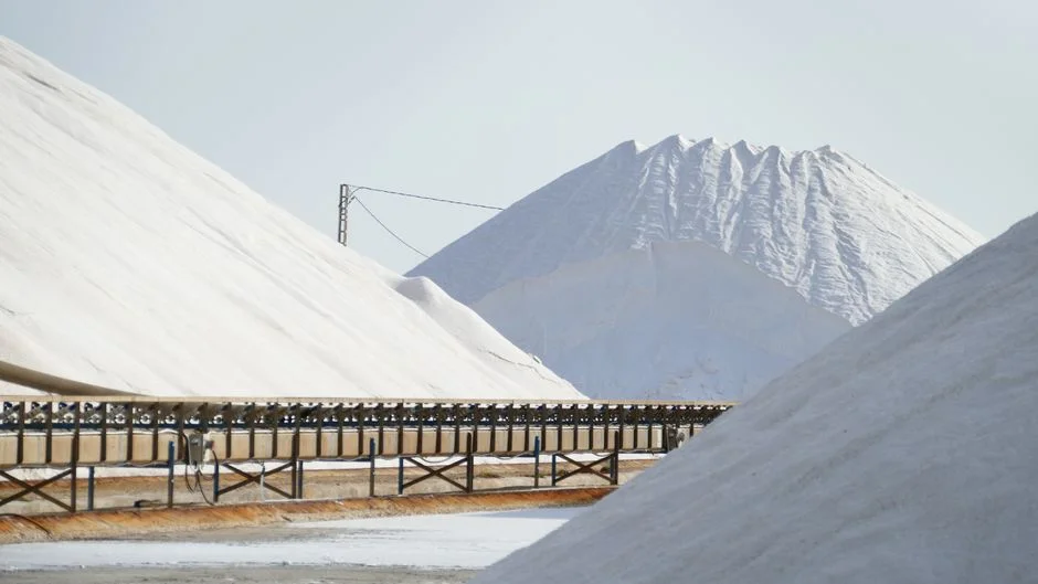 Fertilizer Storage Silos: Material Properties and Handling Solutions - Illustration 2