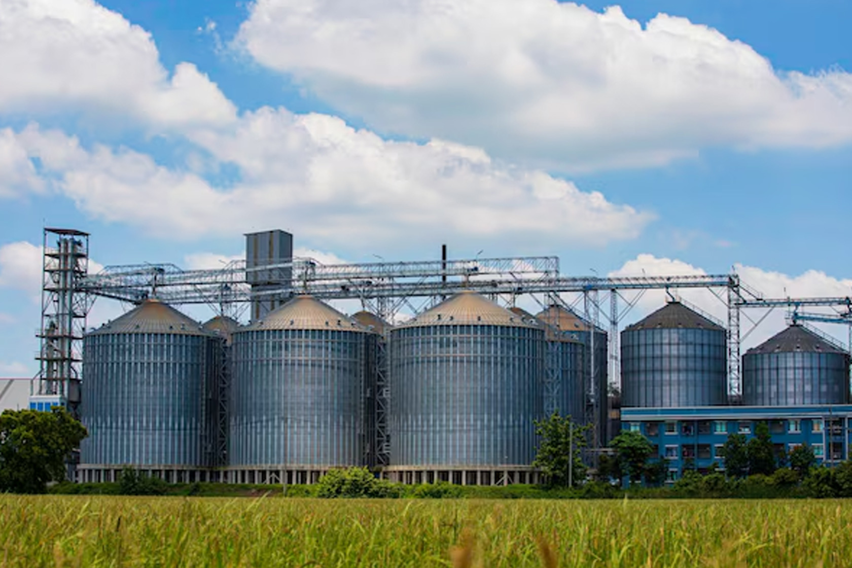 Grain Storage Silo System